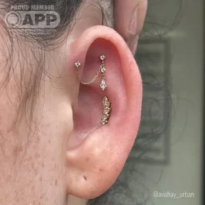 פרויקט עיצוב אוזן מלא עם מספר פירסינגים ותכשיטי פרימיום
