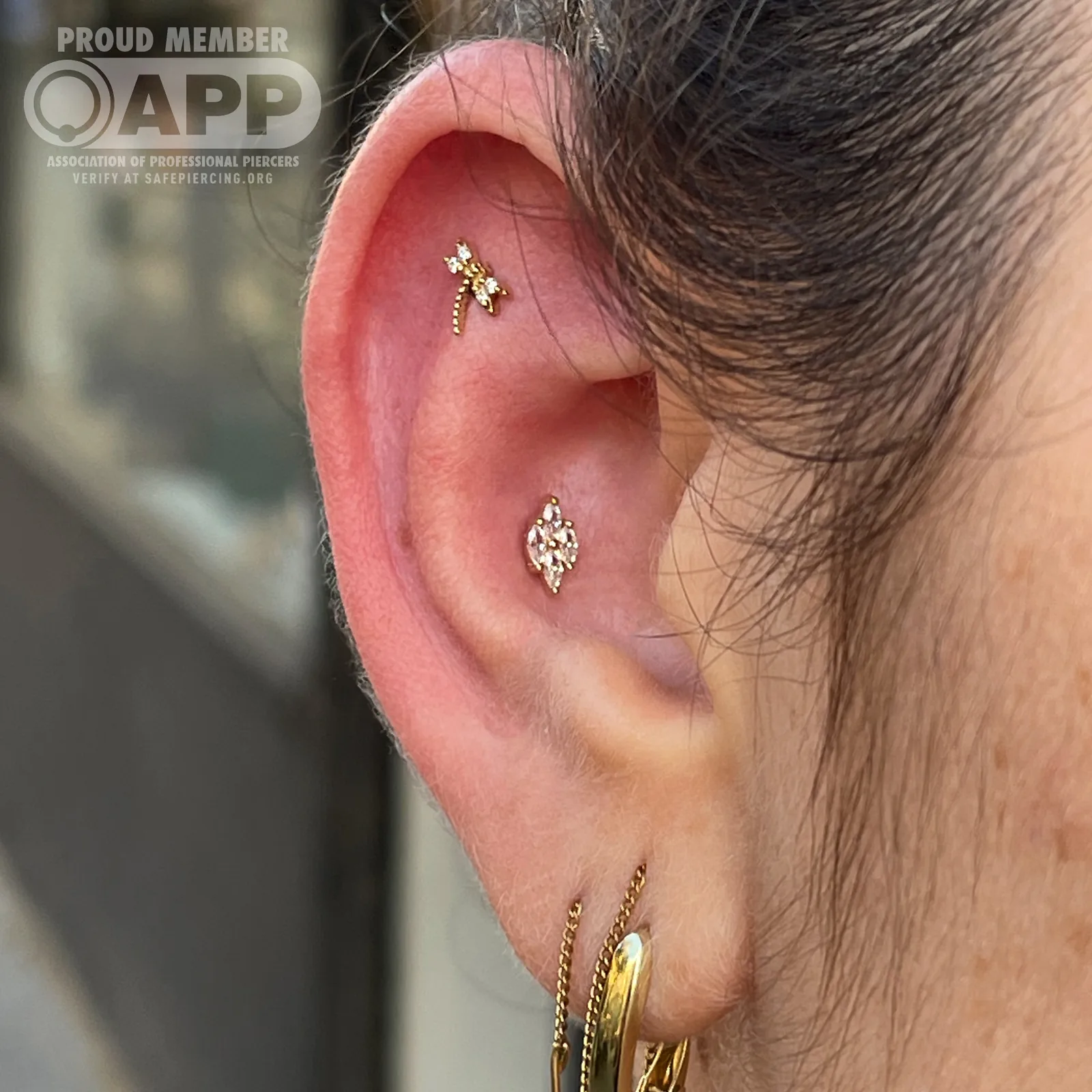Flat and Conch Ear Piercing